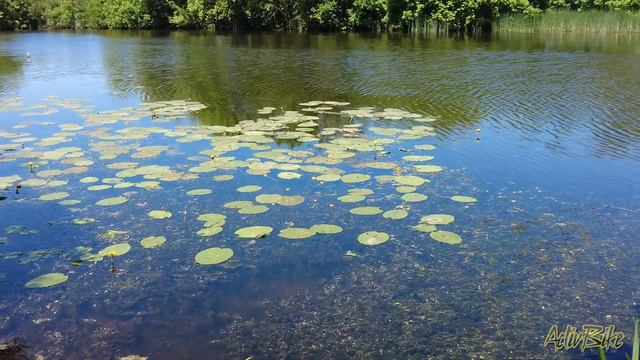 Имя звучное - Кристина - 4.06.2023 смотреть онлайн