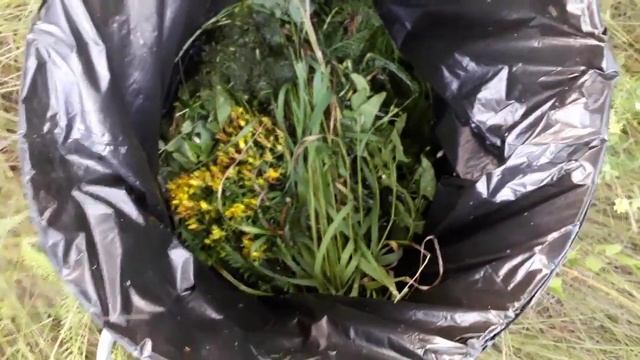 Зелёное удобрение по рецепту моего дедушки. смотреть онлайн