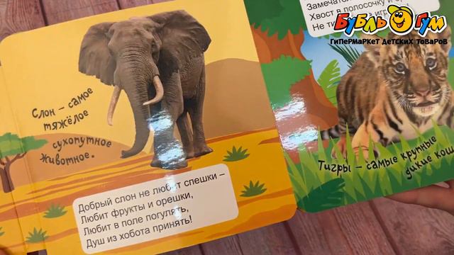 Книга-гармошка Дикие животные смотреть онлайн