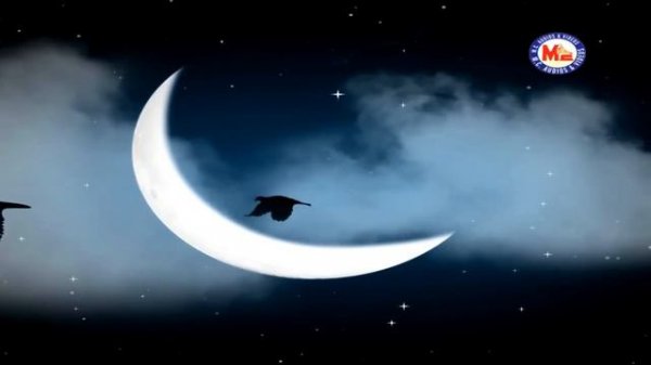 ആകാശത്തൊരു മുത്തശ്ശി | Malayalam Animated Song for Kids |  Kids Animation Malayalam Cartoon |