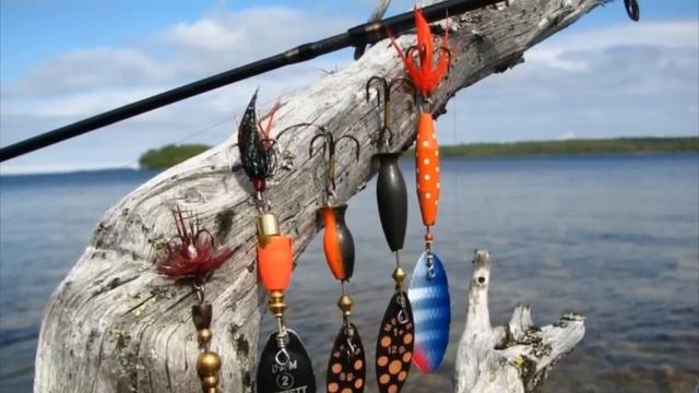 Эксперимент 1967 года про память рыбы и 3 секунды. смотреть онлайн