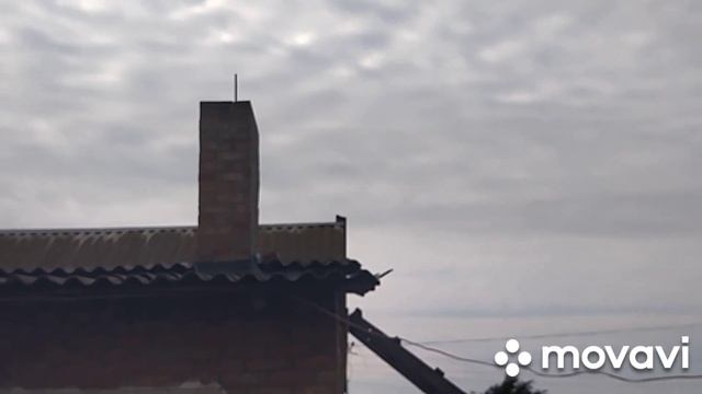 Масло, творог, копченое сало, курица из аэрогриля и много работы смотреть онлайн