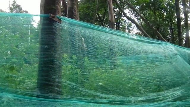 Сгоревшая в Сестрорецке дача доктора Д.М. Цвета смотреть онлайн