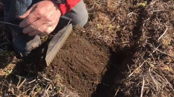 Сеялка Gaspardo MTR может сеять по необработанной почве