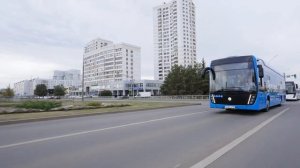 Электробус