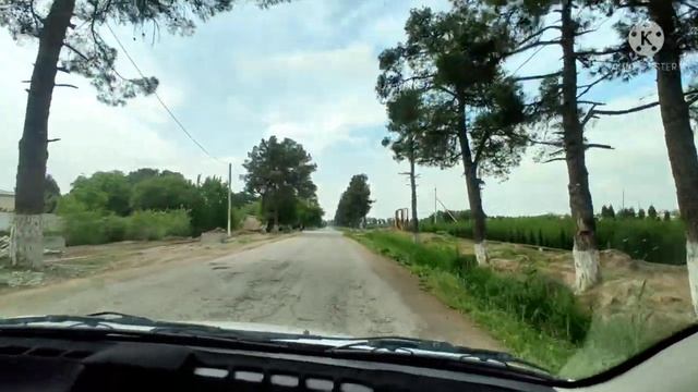 Surhondaryo DENOV ÖRMON-XABIB Bozor.Денов Урмон.Сурхондарё.