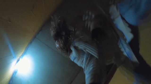 COVID-19 ZOMBIE 3 APOCALYPSE ESCAPE смотреть онлайн