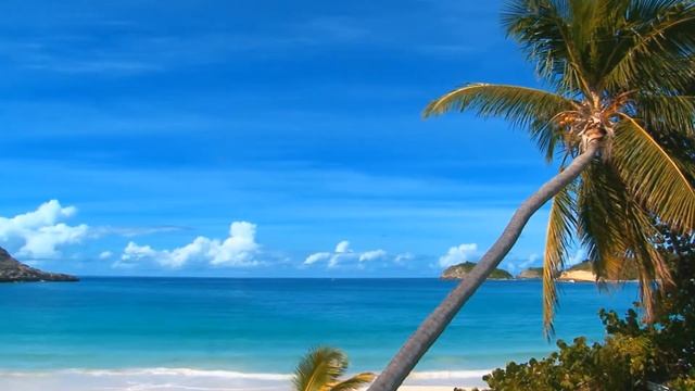 Relaxing music, Healing music, Meditation music, sleep, zen, Sax on Beach, Groovy,Jazzy chillout смотреть онлайн