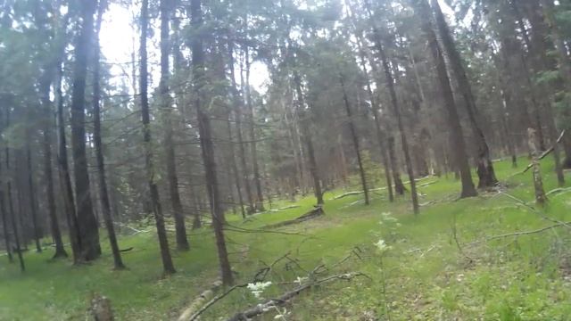 О топорище из ясеня смотреть онлайн