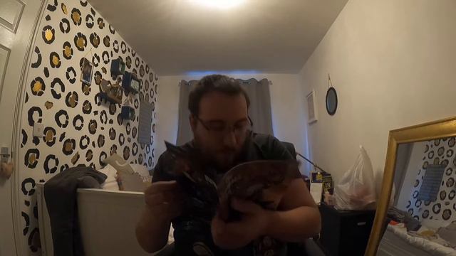 Are Forbidden Planet comic grab bags worth it? Opening 30 packs! смотреть онлайн
