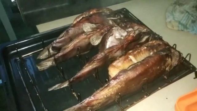 Сеня баня рыба пёс смотреть онлайн