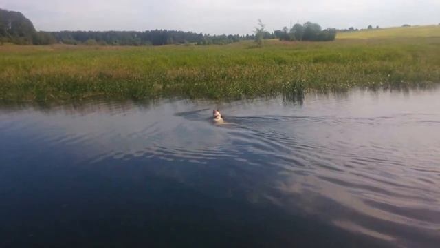 ЗСЛ Буран на рыбалке смотреть онлайн