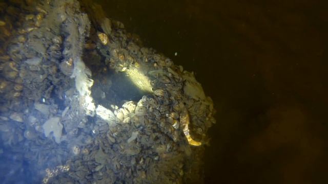 Водозабор ТСЖ Берег смотреть онлайн