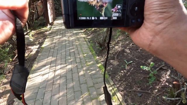 Canon R7 over the XT5 in 2024? смотреть онлайн