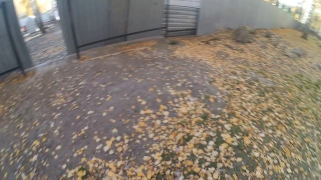 Дренажная канава вокруг участка. Самая надежная защита от талых вод смотреть онлайн