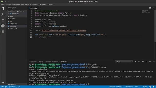 How to parse web page using python via Selenium смотреть онлайн