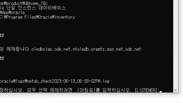 Oracle Database 19c Enterprise Edition 삭제하기 смотреть онлайн