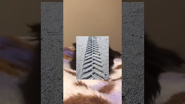 ЧТО БУДЕТ, ЕСЛИ МНОГО ЧИТАТЬ смотреть онлайн