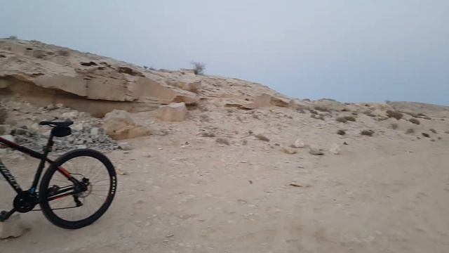 Silverback stride 29d смотреть онлайн