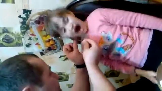 Смелая дочка!!! смотреть онлайн