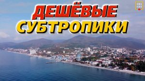 Лазаревское: жизнь в субтропиках - дороже чем в Москве?