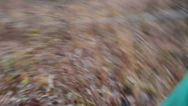 Метало Коп 2021| Сколько можно заработать за 9 часов копа...!?| Навесное от трактора| #МеталоКоп202 смотреть онлайн