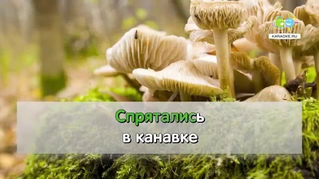 Два веселых гуся Из мф Веселая карусель karaoke ru смотреть онлайн