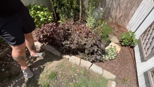 The Most Beautiful Sanctuary Garden Tour! :: @visitourgarden May Garden Tour:: Zone 9 смотреть онлайн