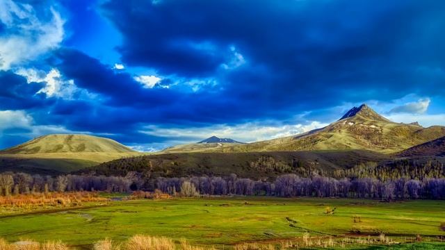 Herb Ernst. Forever Rapture