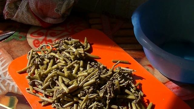 Вкусные рецепты с овощами и мясом