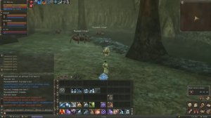 lineage 2 classic топ кач в соло будущий некр