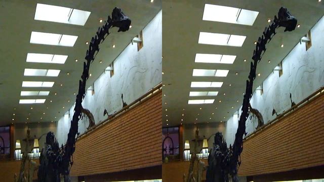Paleontological Museum In Moscow 3D Палеонтологический музей в Москве