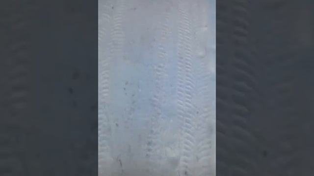 Короче я потерял свой телефон но нашел его смотреть онлайн