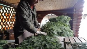 Пихтовый веник - не всё так просто ...Раскрываем секреты .