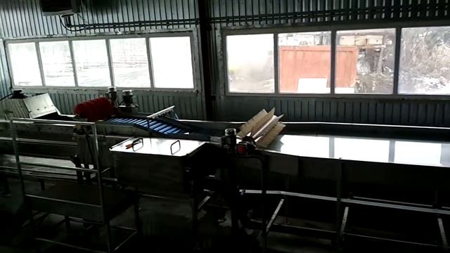 МАШИНА ДЛЯ СОРТИРОВКИ И КАЛИБРОВКИ ЯБЛОК НА 5 ТОНН В ЧАС В НАЛЬЧИКЕ, ОТ SORTER