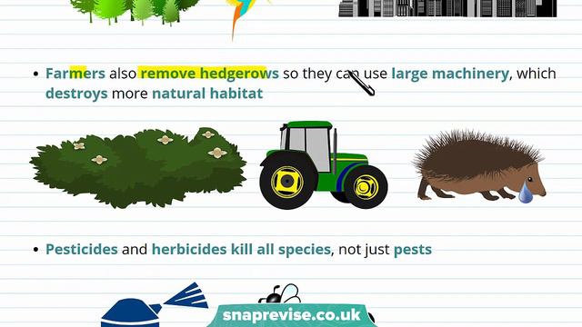 Benefits of and Threats to Biodiversity | 9-1 GCSE Science Biology | OCR, AQA, Edexcel смотреть онлайн
