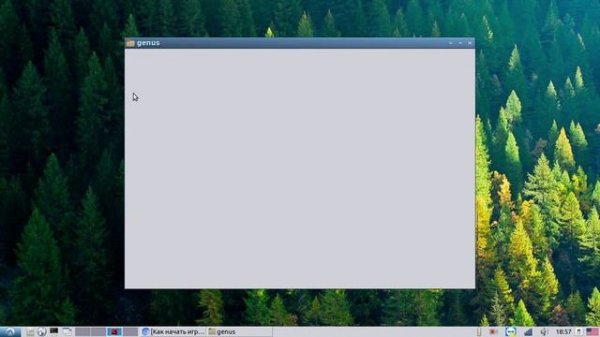 Запуск Wow LK или Wow MoP на линукс (через вайн - элементарно)