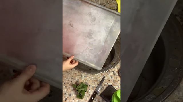 Утиный жир смыть без моющего?!! Шок!!!! Смотреть всем!!! смотреть онлайн