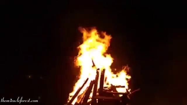 Костёр RELAX смотреть онлайн