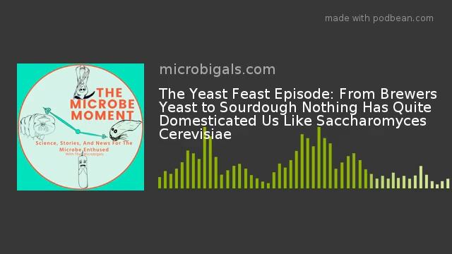 The Yeast Feast Episode: From Brewers Yeast to Sourdough Nothing Has Quite Domesticated Us Like Sac смотреть онлайн