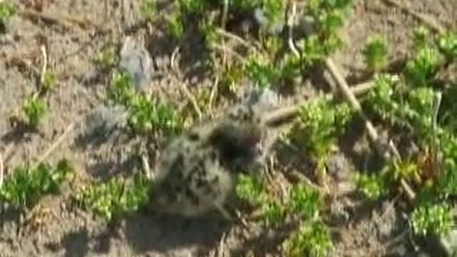 Учимся ходить смотреть онлайн