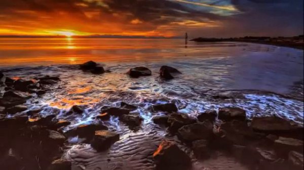 КРАСИВОЕ ЧТЕНИЕ КОРАНА. ИСЛАМ СУБХИ