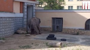 Екатеринбургский зоопарк, часть 1