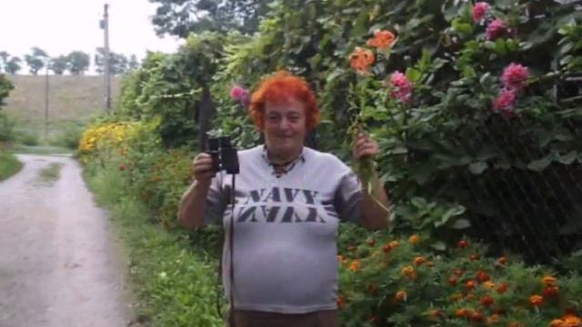 Все мне мерещится поле с гречихою! Д. Кедрин. смотреть онлайн