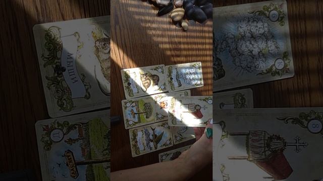 Почему не складываются отношения? Онлайн-расклад на колоде Оракул мадам Ленорман смотреть онлайн