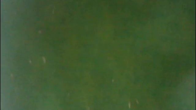 Вода в бассейне позеленела смотреть онлайн