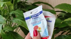 Подбираем Подкормки для Спатифиллума