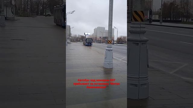 Автобус под номером 807 прибывает на остановку "Метро аминьевская" смотреть онлайн