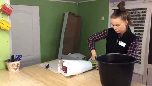 Хранение и обработка тюльпанов. смотреть онлайн