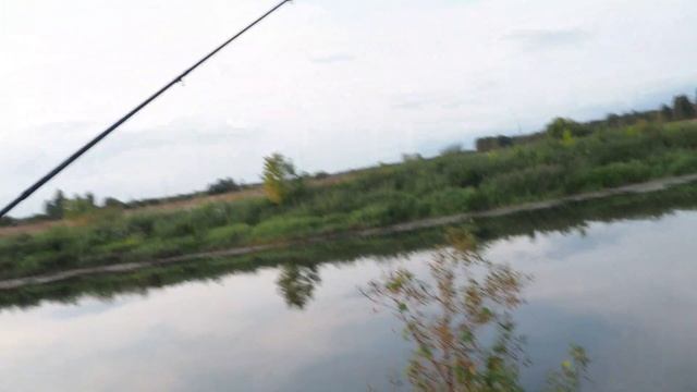 Вечерняя рыбалка на фидер смотреть онлайн